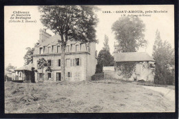 29 Chateaux De Bretagne - Environs De MORLAIX - Coat Amour - Morlaix