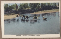CPA ISRAEL - SEMAK - Camels Crossing The Jourdan - TB PLAN ANIMATION Chameaux Traversant Le Jourdain - Israel