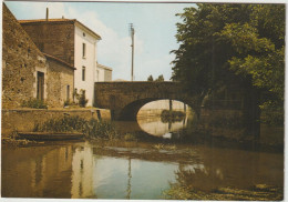 LD61 : Vendée : SAINTE  HERMINE : Vue  1991 - Sainte Hermine