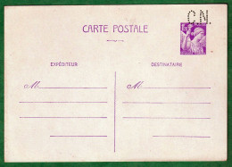 ENTIER POSTAL N° 651 - CP1 NEUF SANS CHARNIERE AVEC PERFORATIONS C. N. - 2 SCANS - Standard- Und TSC-AK (vor 1995)