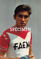 Eddy Merckx - Faem - Cycling