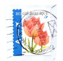 Belgique Sur Fraguement - Used Stamps