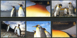 ARCTIC-ANTARCTIC, SOUTH GEORGIA 2006 KING PENGUINS** - Antarktischen Tierwelt