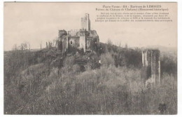Environs De LIMOGES  Ruines Du Château De Chalusset - Autres & Non Classés