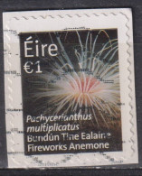 Irlande 2014 -  YT 2099 (o) Sur Fragment - Used Stamps