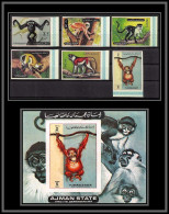Ajman - 2647a/ N° 2925/2930 B + 530 B Apes And Monkeys Singes Non Dentelé Imperf ** MNH Bord De Feuille 1973 - Ajman