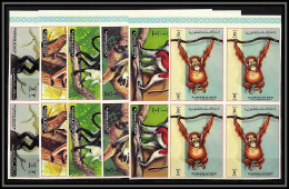 Ajman - 2647c/ N° 2925/2930 B Apes And Monkeys Singes Non Dentelé Imperf ** MNH Bloc 4 1973 - Adschman