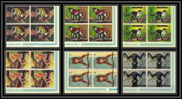 Ajman - 2647b/ N° 2925/2930 B Apes And Monkeys Singes Non Dentelé Imperf ** MNH Bloc 4 Coin De Feuille 1973 - Monkeys