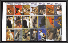 Ajman - 2552/ Bloc Géant Chats (chat Cat Cats) ** MNH  - Domestic Cats