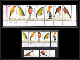 Ajman - 2549b/ Perroquets Parrot (parrots) Bande + Série Oiseaux Bird Birds Perroquets Parrot (parrots) ** MNH RR - Ajman