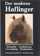 Der Moderne Haflinger.  Reinzucht - Arabisierung - Verwendung - Zuchtgebiete. - Old Books