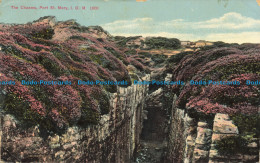 R657796 I. O. M. The Chasms. Port St. Mary. W. A. And S. S. Grosvenor Series - World