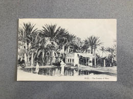 Suez The Fountain Of Moses Carte Postale Postcard - Sues
