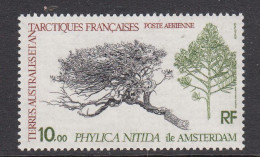 TAAF 1980 Phylica Nitida 1v ** Mnh (60047) - Unused Stamps