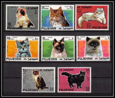 Fujeira - 1644/ N°206/213 A Chats Cats Cat Chat Siamese Red Tabby Persian Maine Coon Neuf ** MNH - Gatti