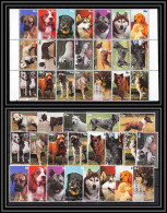 Fujeira - 1534b/ Bloc + Serie = 42 Timbres Chiens Chien Dog Dogs ** MNH RRR - Honden