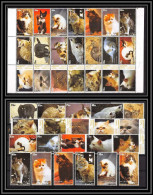 Fujeira - 1533b/ Bloc + Serie = 42 Timbres Chats Cat Cats Chat ** MNH RRR - Domestic Cats