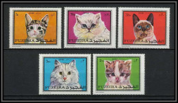 Fujeira - 1509/ N° 588/592 A Chats (chat Cat Breeds Of Cats) ** MNH  - Chats Domestiques