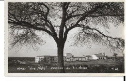 Hotel ''Los Pinos'' Termas De Río Hondo  7714 - Argentine