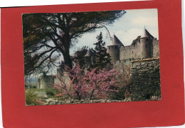 11----Cité De CARCASSONNE--les Remparts Au Printemps--voir 2 Scans - Carcassonne