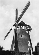 Dernier Moulin à Vent De La Hesbaye Donceel - Waremme