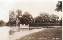 Surrey - WEYBRIDGE - D'Oyley Cartes Island - Surrey