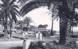 06 - NICE - Un Coin De La Promenade Des Anglais  - Other & Unclassified