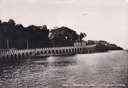 22 - PERROS GUIREC - La Route En Corniche - Perros-Guirec