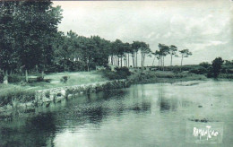 85 - Les Sables D' Olonne - Le Lac De Tanchet - Sables D'Olonne