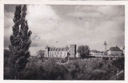 64 - PAU - Le Chateau Vu Des Prairies - Pau