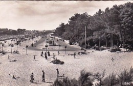 17 -  SAINT GEORGES  De DIDONNE - Le Boulevard Promenade - Saint-Georges-de-Didonne