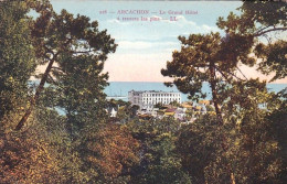 33 - Gironde -  ARCACHON - Le Grand Hotel A Travers Les Pins - Other & Unclassified