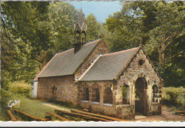 BAGNOLES- DE- L' ORNE. - Chapelle Saint-Antoine. CPSM 9X14 - Bagnoles De L'Orne