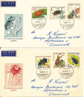 Czechoslovakia FDC 15-12-1962 Beetles Insects Complete Set Of 6 On 2 Covers With Cachet Sent To Denmark - FDC