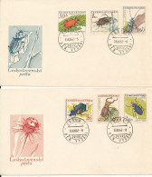 Czechoslovakia FDC 15-12-1962 Beetles Insects Complete Set Of 6 On 2 Covers With Cachet - FDC