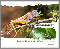 CENTRAL AFRICA 2023 MNH Grasshoppers Grashüpfer S/S II – IMPERFORATED – DHQ2422 - Sonstige & Ohne Zuordnung