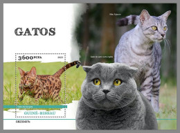 GUINEA-BISSAU 2023 MNH Cats Katzen S/S – IMPERFORATED – DHQ2422 - Gatti