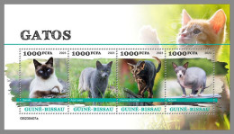 GUINEA-BISSAU 2023 MNH Cats Katzen M/S – IMPERFORATED – DHQ2422 - Gatti