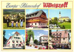 WENIGZELL, HARTBERG, STYRIA, MULTIPLE VIEWS, ARCHITECTURE, CHILDREN, CAR, STATUE, PENSION, TERRACE, AUSTRIA, POSTCARD - Hartberg