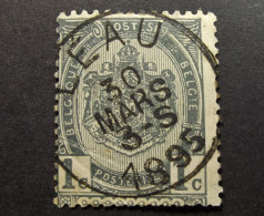 Belgie Belgique - 1893 - OPB/COB N° 53  ( 1 Value ) -   Obl. Léau - 1895 - 1893-1907 Wapenschild