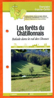 21 Cote D'Or LES FORETS DU CHATILLONNAIS  VAL DES CHOUES  Bourgogne Fiche Dépliante Randonnées Balades - Géographie