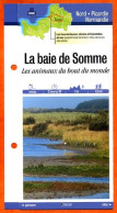 80 Somme LA BAIE DE SOMME LES ANIMAUX DU BOUT DU MONDE  Picardie Fiche Dépliante Randonnées  Balades - Geographie