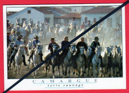 Lots En Vrac - 5 -99-Cartes -CPM-CPSM -  18 Cartes  Du Département : La CAMARGUE  -13. Bouche Du Rhône Ecrites Ou Pas - - 5 - 99 Postcards