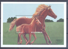 ANGOLA  (FAU138) XC - Horses