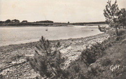 Locmiquel (56 - Morbihan) Vue Sur Les Sept Iles - Autres & Non Classés