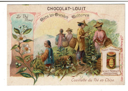 CHROMOS  CHOCOLAT  LOUIT   -   Cueillette Du Thé En Chine - Louit