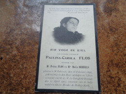 Doodsprentje/Bidprentje   PAULINA-CAROLA  FLOS  Willebroeck 1896-1907 Cureghem-Brussel (dchtr Petrus & Maria BEHIELS) - Religion & Esotericism