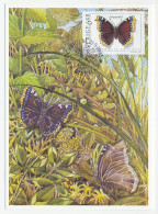 Maximum Card Sweden 1993 Butterfly  - Other & Unclassified