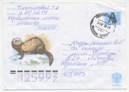 Postal Stationery Russia 2004 Polecat - Fitch - Autres & Non Classés