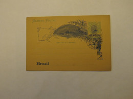 BRAZIL POSTAL CARD - Andere & Zonder Classificatie